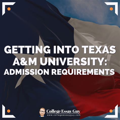 texas a&m admissions office|texas a&m news and rumors.